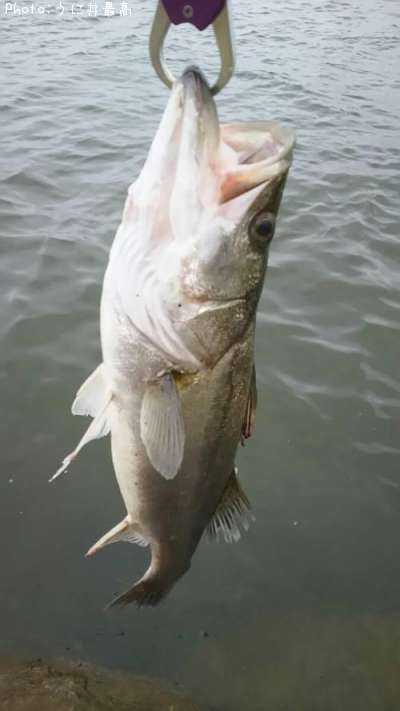 �����Х�