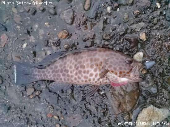 �������ϥ�