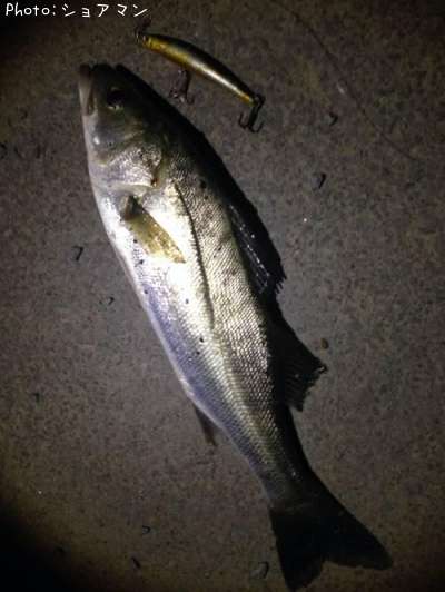 �����Х�