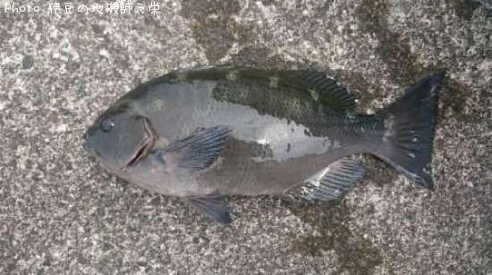 �����᥸��