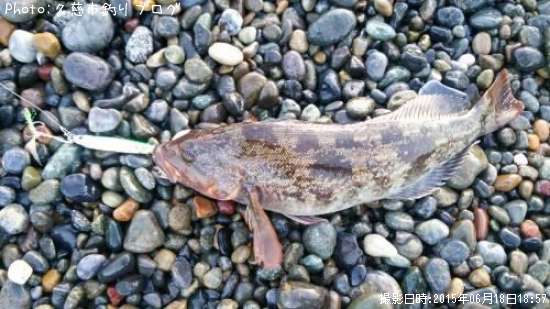 �����ʥ�