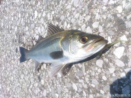 �����Х�