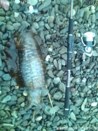 �����ꥤ��