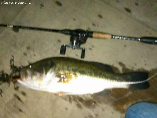 �֥�å��Х�