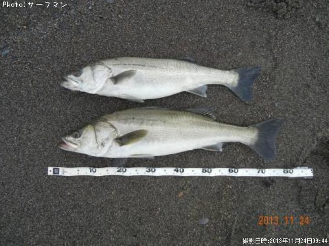 �����Х�