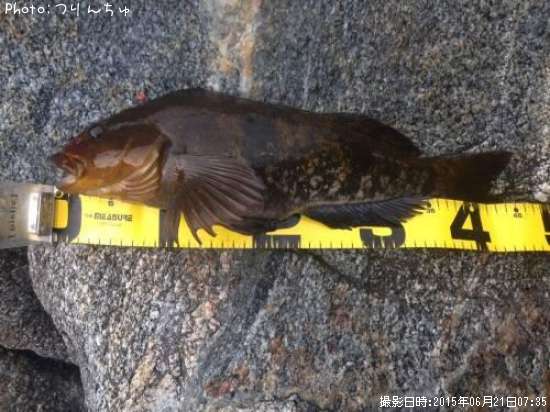 �����ʥ�