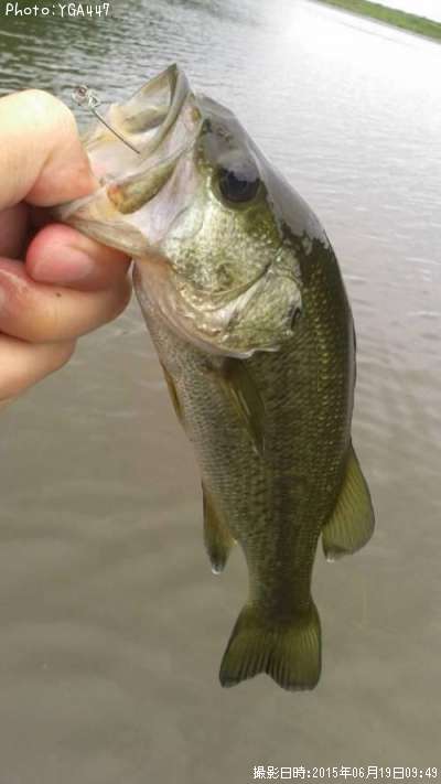 �֥�å��Х�