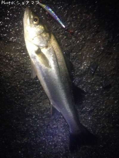 �����Х�