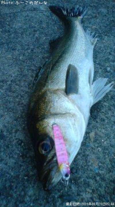 �����Х�