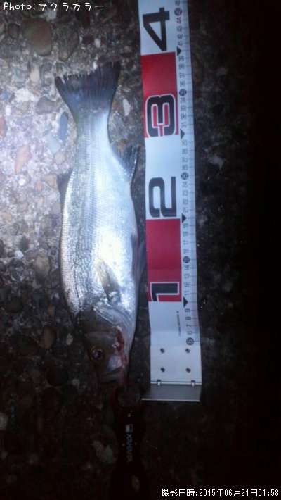 �����Х�