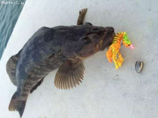 �����ʥ�