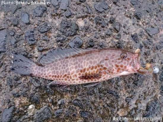 �������ϥ�