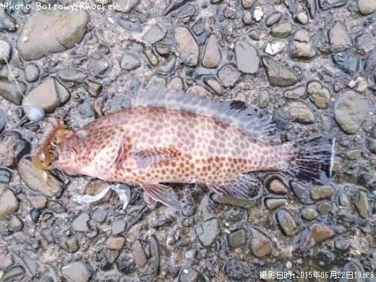 �������ϥ�