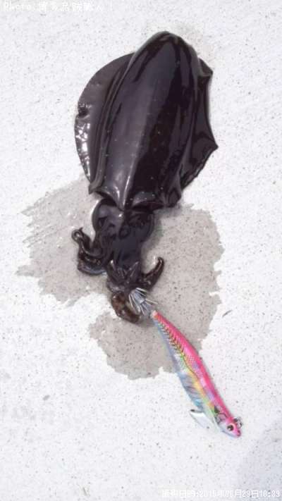 �����ꥤ��