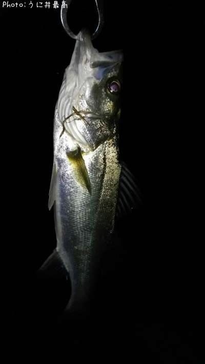 �����Х�