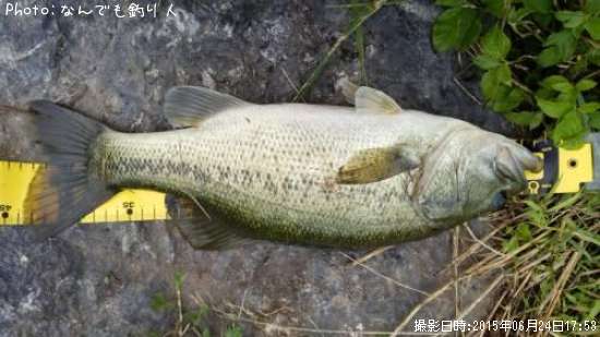 �֥�å��Х�