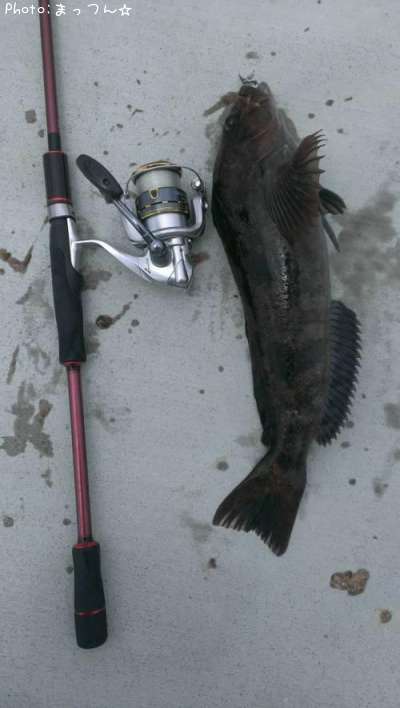 �����ʥ�