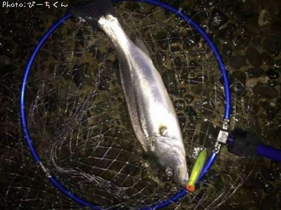 �����Х�