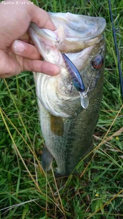 �֥�å��Х���