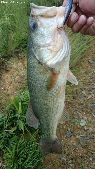 �֥�å��Х���