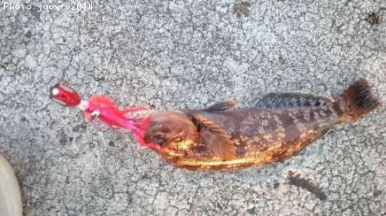 �����ʥ�