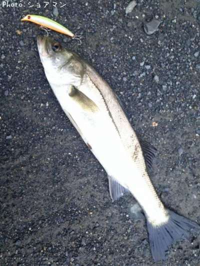 �����Х�