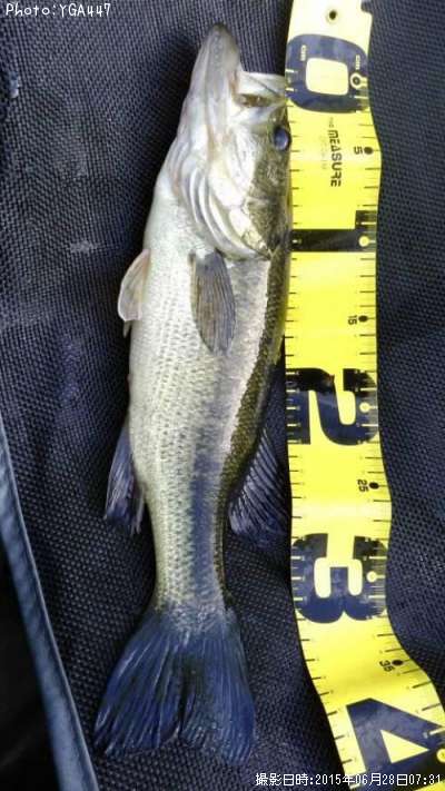 �֥�å��Х�