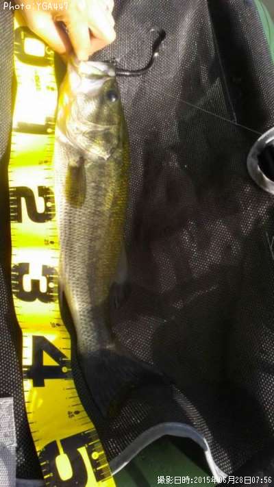 �֥�å��Х�