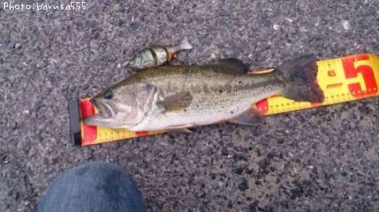 �֥�å��Х�