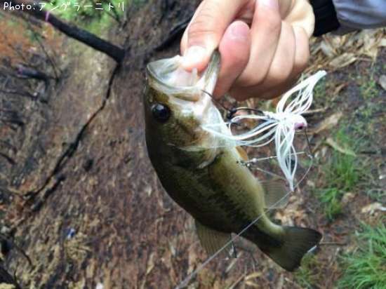 �֥�å��Х�