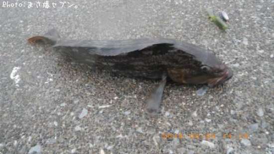 �����ʥ�