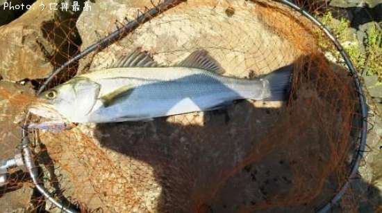 �����Х�