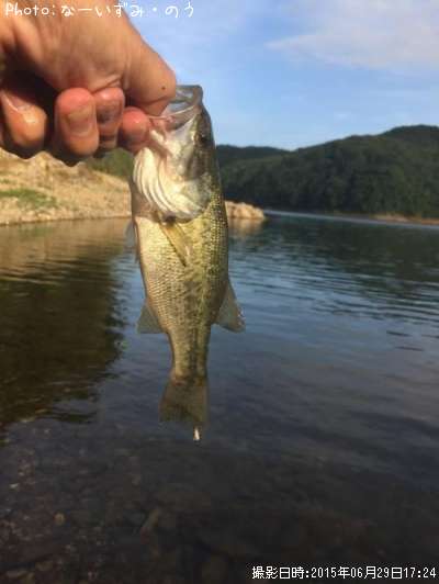 �֥�å��Х�