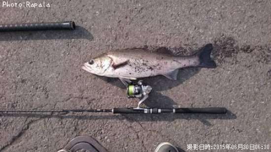 �����Х�