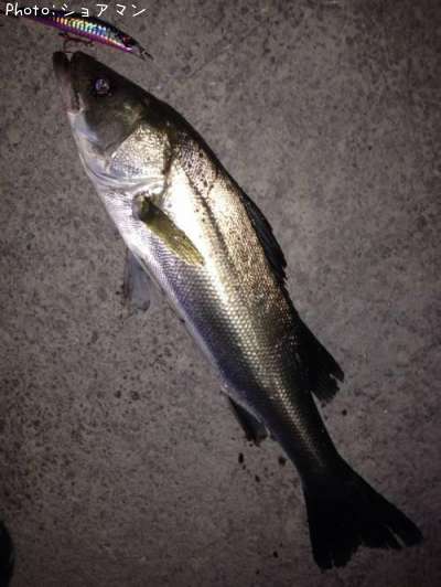 �����Х�