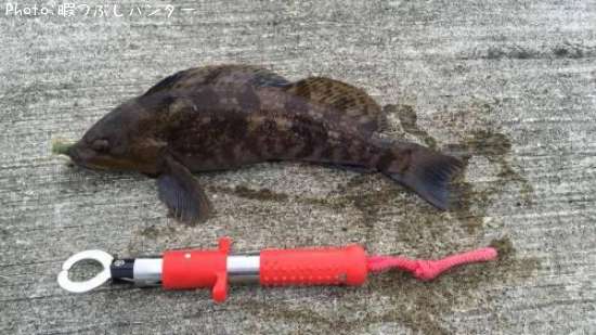 �����ʥ�