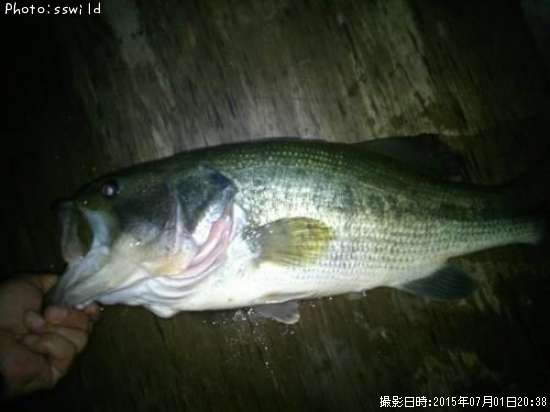 �֥�å��Х�