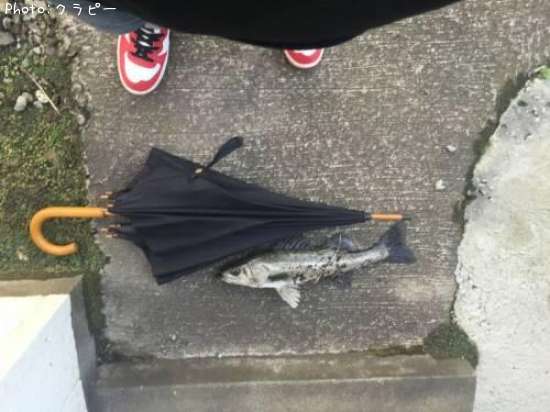 �����Х�