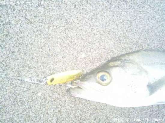 �����Х�