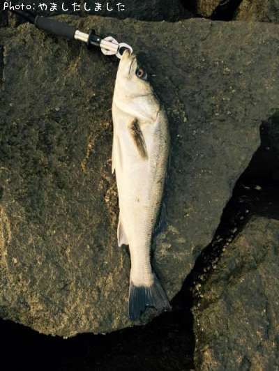 �����Х�