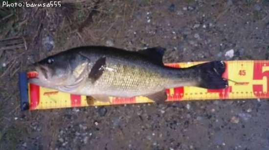 �֥�å��Х�