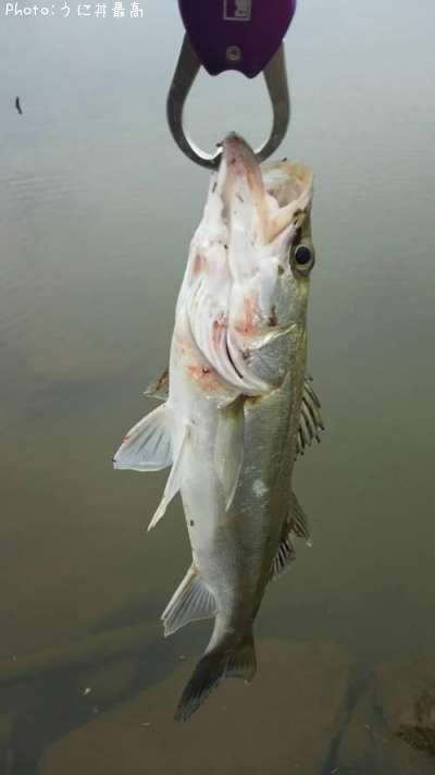 �����Х�