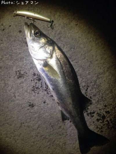 �����Х�