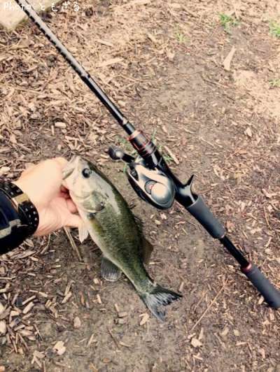 �֥�å��Х�