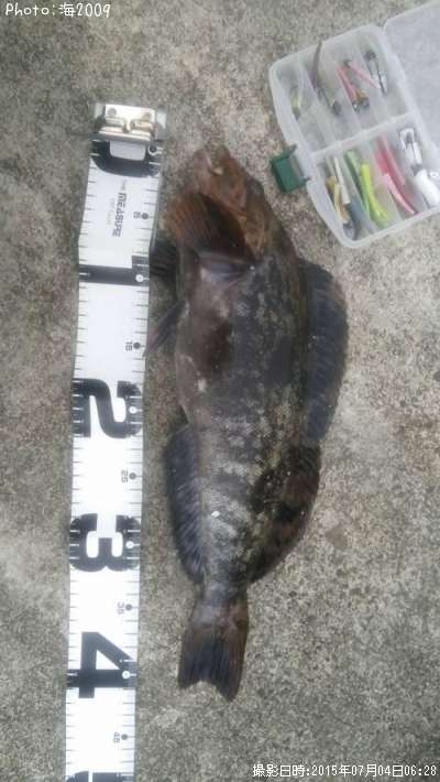 �����ʥ�