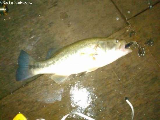 �֥�å��Х�