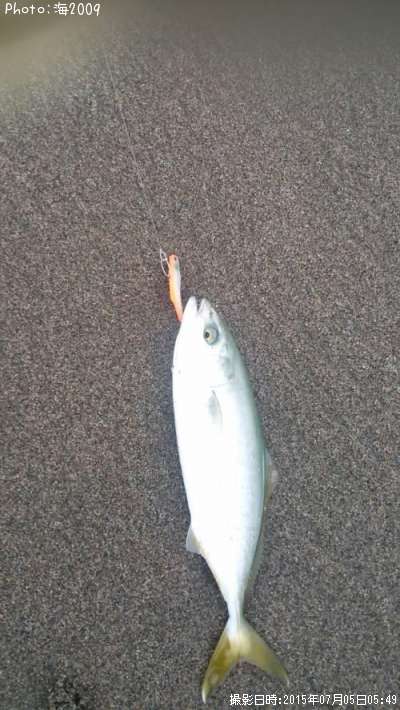 �����å�