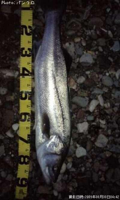 �����Х�