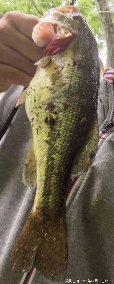 �֥�å��Х�