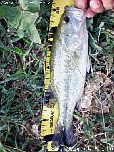 �֥�å��Х�